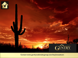 Saguaro National Park is a Big Part of What Makes Tucson a Magical Place to Live